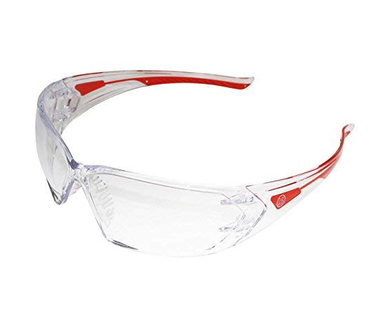 Langley Branded Safety Glasses