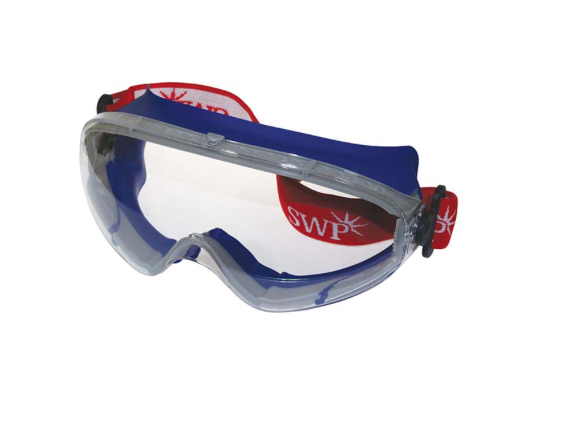 Ski Style Wide Vision Goggle